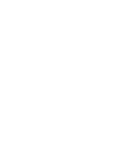 SEO-Traffic-png-icon